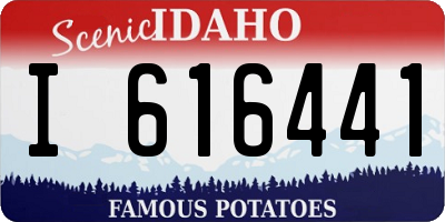 ID license plate I616441