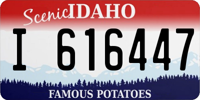 ID license plate I616447