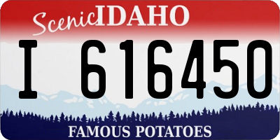 ID license plate I616450