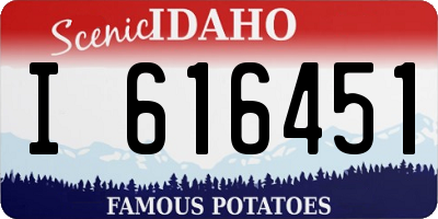ID license plate I616451