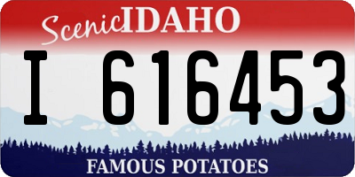 ID license plate I616453