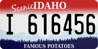 ID license plate I616456