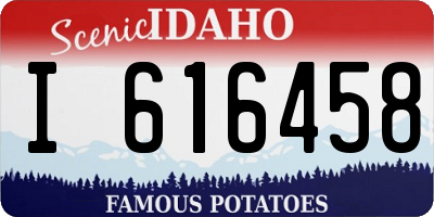 ID license plate I616458