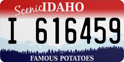 ID license plate I616459
