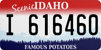 ID license plate I616460