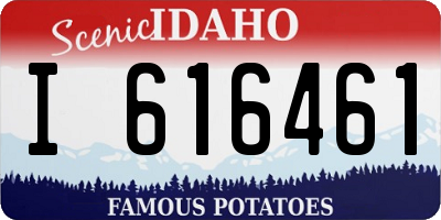 ID license plate I616461