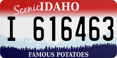 ID license plate I616463