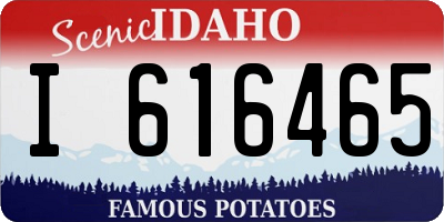 ID license plate I616465