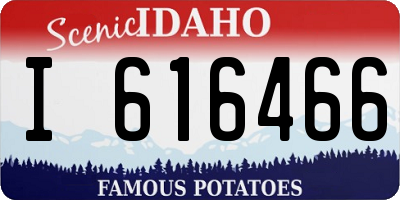 ID license plate I616466