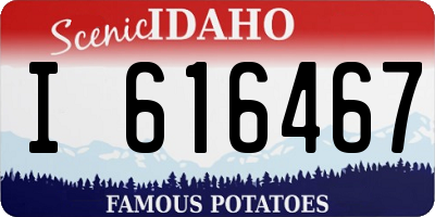 ID license plate I616467