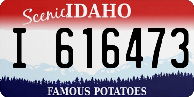 ID license plate I616473
