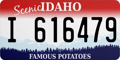 ID license plate I616479