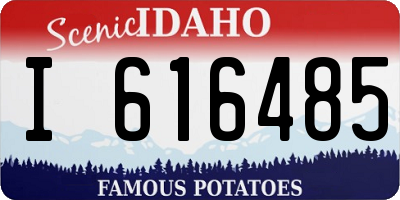 ID license plate I616485