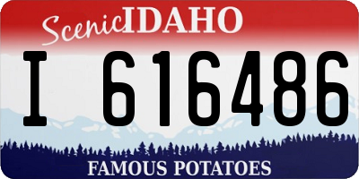 ID license plate I616486