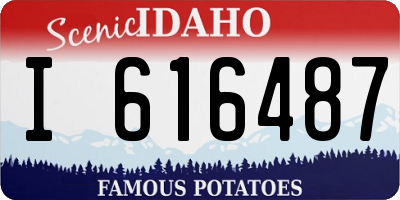 ID license plate I616487
