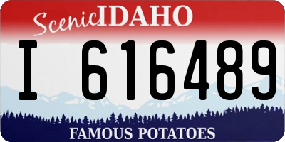 ID license plate I616489