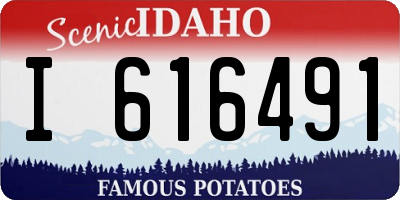 ID license plate I616491