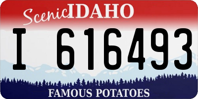ID license plate I616493