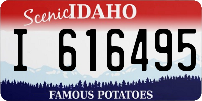 ID license plate I616495