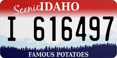 ID license plate I616497