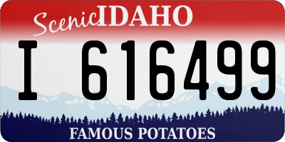 ID license plate I616499