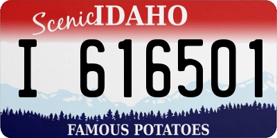 ID license plate I616501