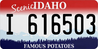 ID license plate I616503