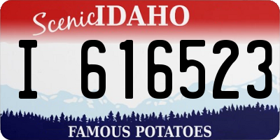 ID license plate I616523