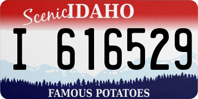 ID license plate I616529