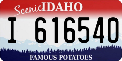 ID license plate I616540