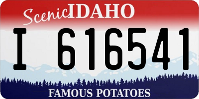 ID license plate I616541