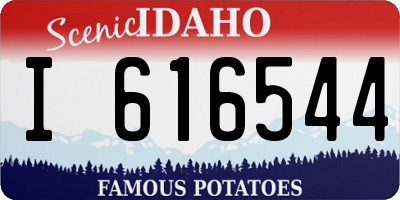 ID license plate I616544