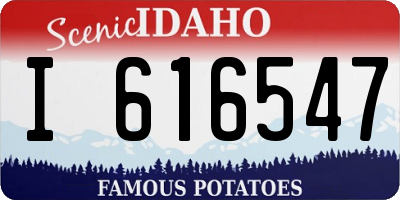 ID license plate I616547