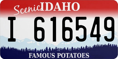 ID license plate I616549