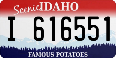 ID license plate I616551