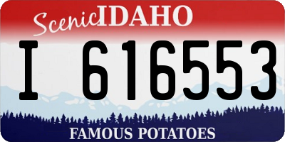 ID license plate I616553