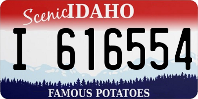ID license plate I616554