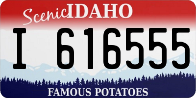 ID license plate I616555