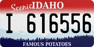 ID license plate I616556