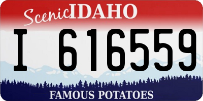 ID license plate I616559