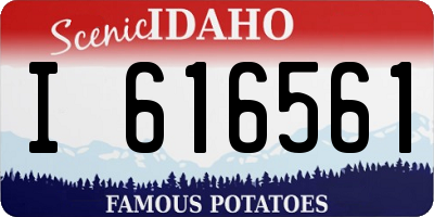 ID license plate I616561
