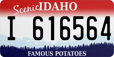 ID license plate I616564