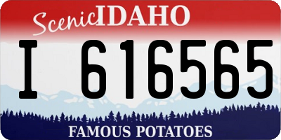 ID license plate I616565