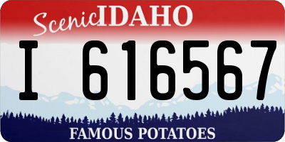 ID license plate I616567