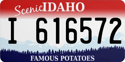 ID license plate I616572