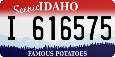 ID license plate I616575