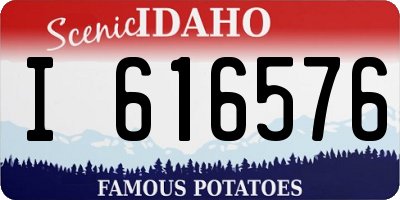 ID license plate I616576