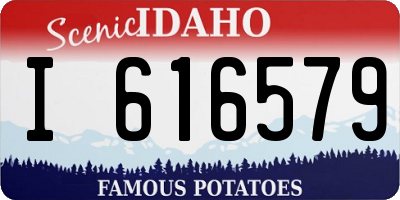 ID license plate I616579