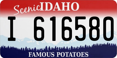 ID license plate I616580