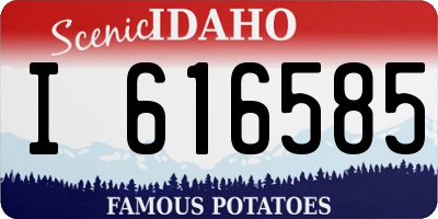 ID license plate I616585